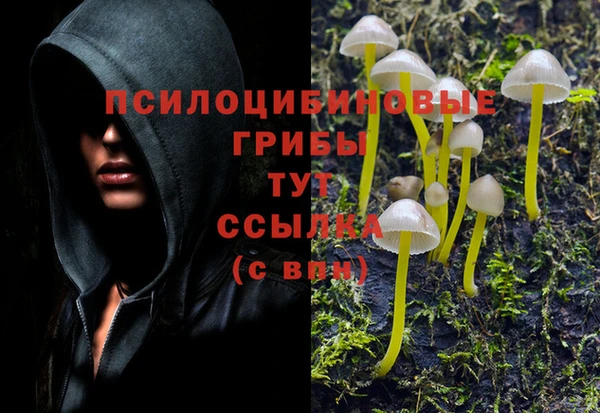 экстази Дмитриев