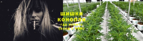 Альфа ПВП Дмитровск