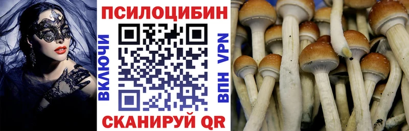 Купить закладки  Оха  Галлюциногенные грибы ЛСД 